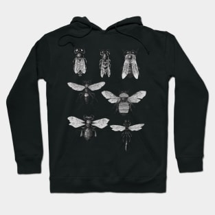 Bees and Wasp Hoodie